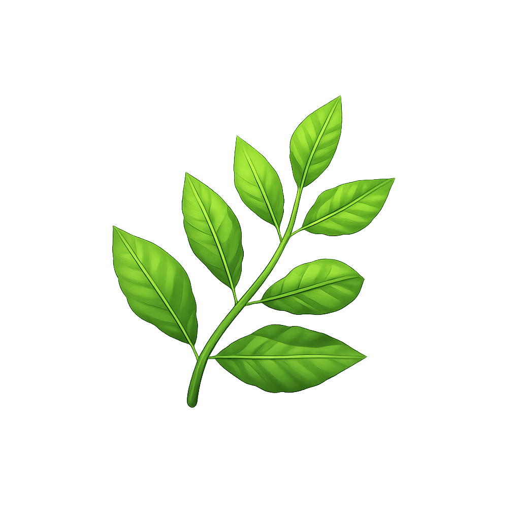 Jojoba
